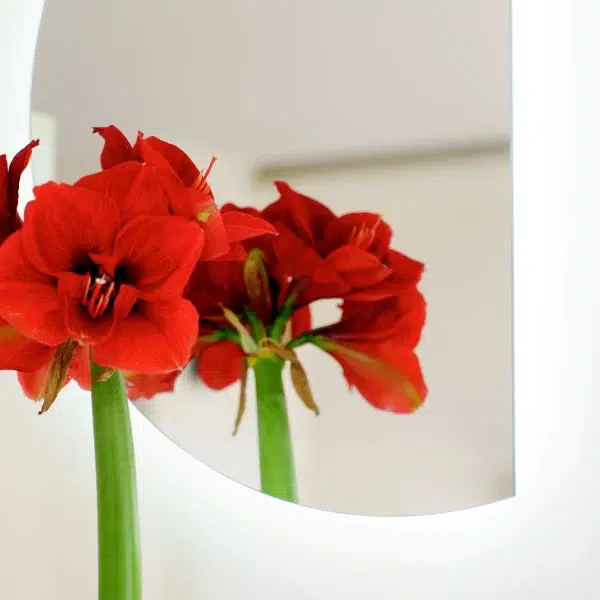 Szlifowane Lustro Polokragle 600x600